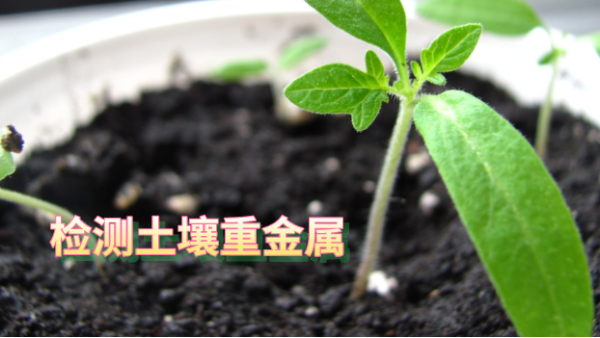 實驗室土壤重金屬（shǔ）檢測全流程（chéng）