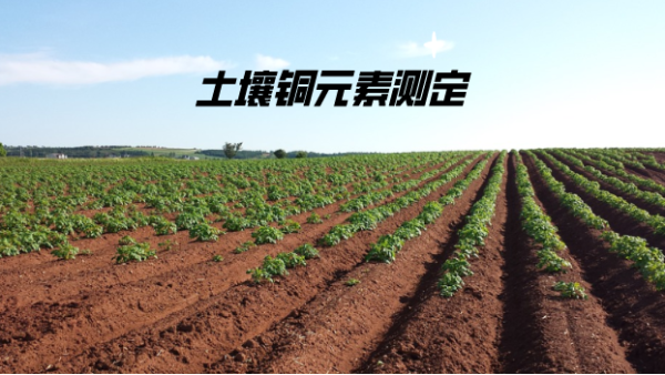 方案分享：電感耦合等離子發射光譜法測定土壤中的（de）銅