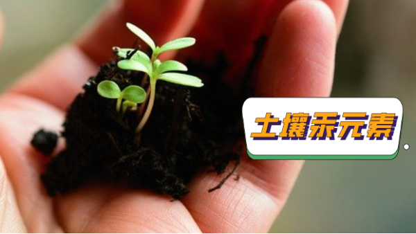 產品應用（yòng）丨石墨消解+原子熒光光譜法測定土壤中的汞