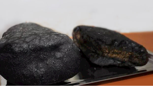 海底寶物富（fù）鈷結殼：手持式X射線熒光光譜儀測定其中錳鐵鈷鎳銅鋅